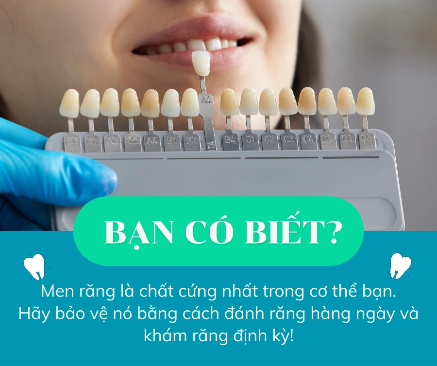 Men Răng Cứng Hơn Cả Xương Người – Tại Sao Vẫn Bị Sâu Và Ê Buốt?